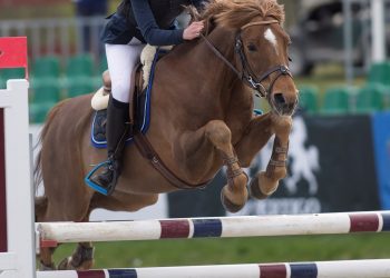 franklin_caitlin_irene_currie_k5w7487