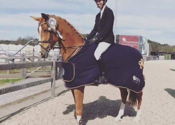 fredrik_seim_bonheiden