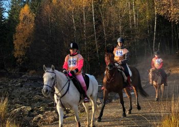 froland_rosa_sloeyfe3