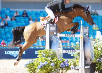 geir_gulliksen_edesa_s_banjan_8_lav