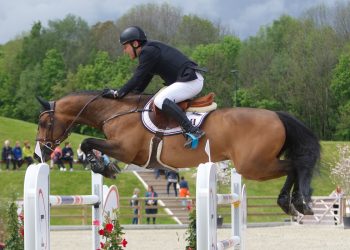 geir_gulliksen_vdl_groep_quatro-2