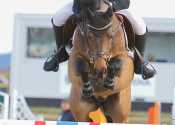 geir_gulliksen_vdl_groep_quatro-3