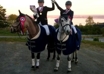gjerdrum_hestesportsklubb_ponni