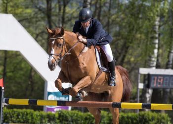 grand_balou_4_geir_gulliksen_k5w8643