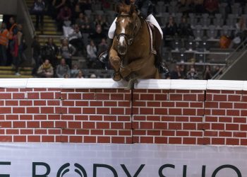 grand_balou_johan_sebastian_gulliksen_k5w4534_2