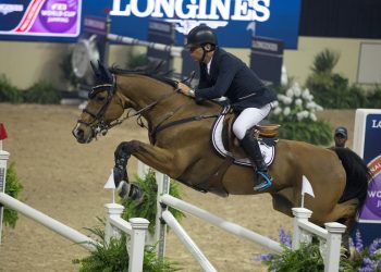 gulliksen_g-lasv15y5785