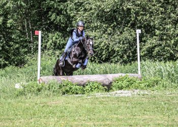 hannaelisabethjackhellnplassens_muffins