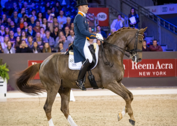 hans_peter_minderhoud_glocks_flirt_foto_arnd_bronkhorst_fei