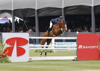 harrie_smolders_emerald