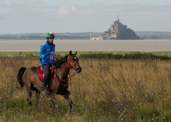 he_sheikh_hamdan_bin_mohd_al_maktoum-caen14l5177