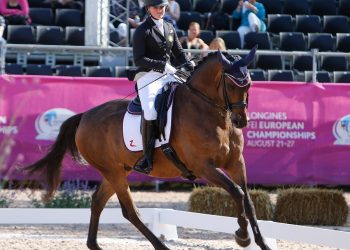 hege_stoerseth_hoennerups_force_14_lav