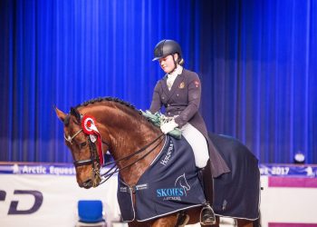 helena_liholt_gulli_4