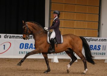 helena_liholt_gulli_tobajo_picez-4_lav