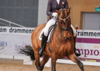 helena_liholt_gulli_tobajo_picez-7l_1