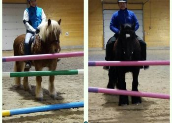 henning_og_rune_ved_hinder