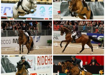 herning_collage_2018