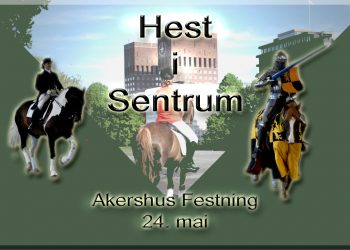 hest_i_sentrum_2014
