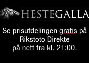 hestegalla_5
