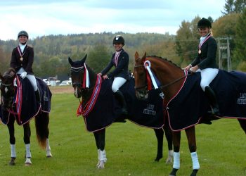 hestelaget_fra_ullensaker