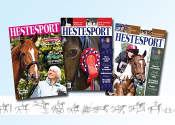 hestesport