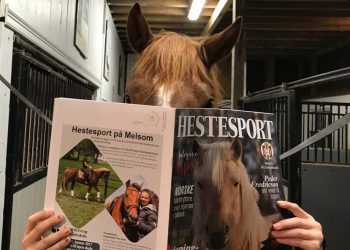 hestesport_3