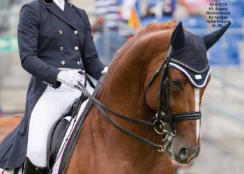 hestesport_forside_2015_06