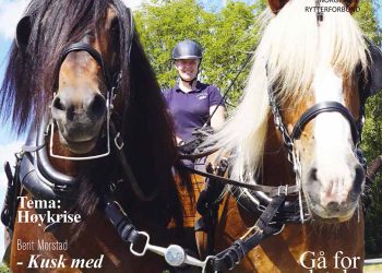 hestesport_forside_2018_05