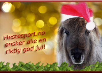 hestesport_jul