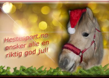 hestesport_jul_vilja