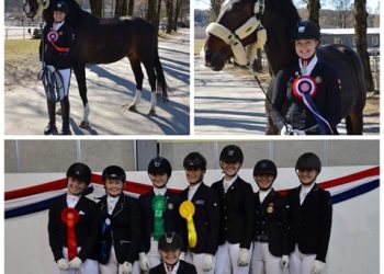 hm_dressur_1_avd_ponni_og_hest_mb_2019