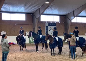 holmestrand_og_omegn_4_div_vinnerlag