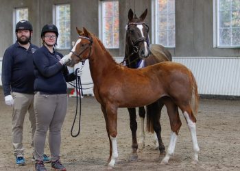 hoppefoell_gang_rgs_springbreak_satine-6