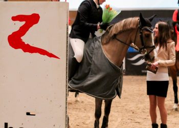horze_cup_1
