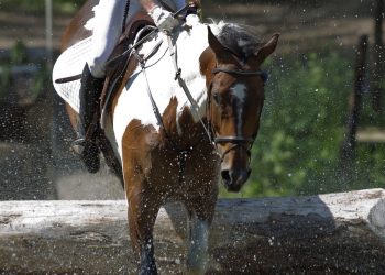 hoss_stine_louise_glitre_skedsmo_19g6363