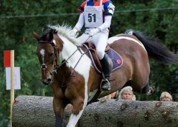 hoss_stine_skedsmo_30h7858