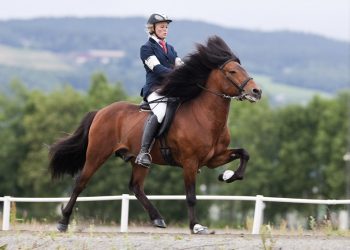 Reportasje_ridesport