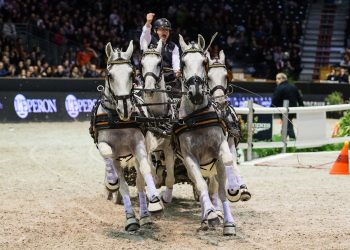 © Photographie Eric KNOLL. CAIW Bordeaux 2016. Driving. FEI World Cup Driving Final by Equidia Life