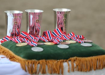 illustrasjon_helene_gjerde_aamdal