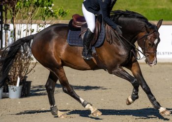 illustrasjonsbilde_-_sprang