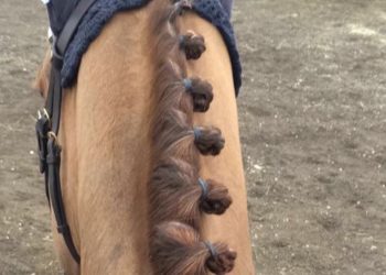 illustrasjonsbilde_sprang_fletter