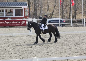 img_1305__marte_imingen