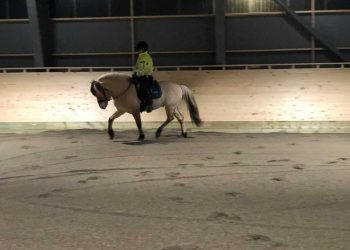 img_20201224_074050_493