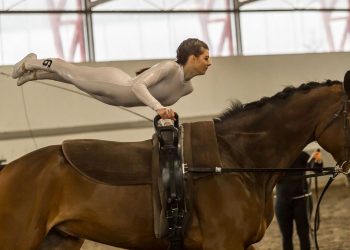 img_5059_hsp_previewjpeg