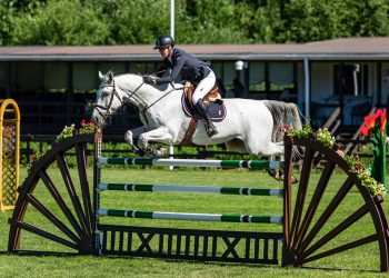 img_8450_fs_rikke_budsberg