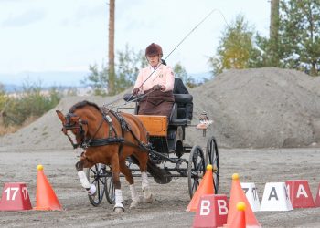 ina_steiro_herstad_glitur_av_herstad-9323