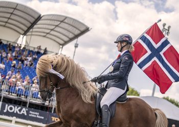 islandshest_christina__dsc2038-kopi