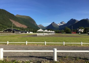 islandshest_nm_2017_arena