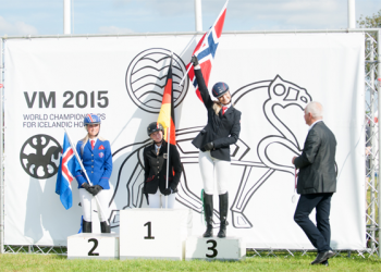 islandshest_vm_bronse