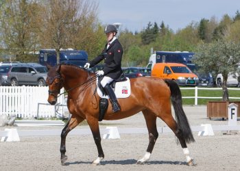 jens_lasse_dokkan_cypres-2