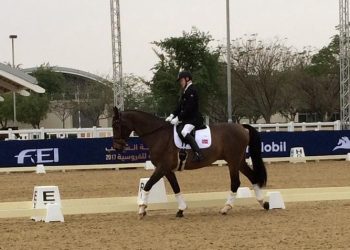 jens_lasse_dokkan_cypres_1